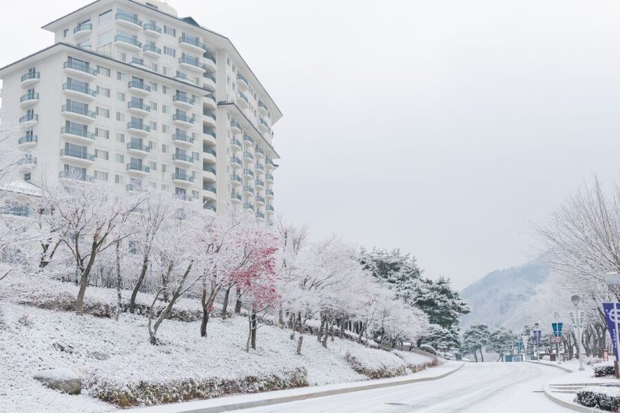 Seoul: Elysian Gangchon Winter Ski with Nami Island Day Tour - Clothing, equipment, and extra costs