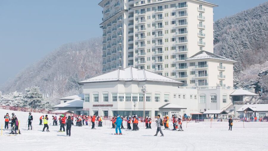 Seoul: Elysian Gangchon Winter Ski with Nami Island Day Tour - Nami Island in winter: quiet paths and photo time