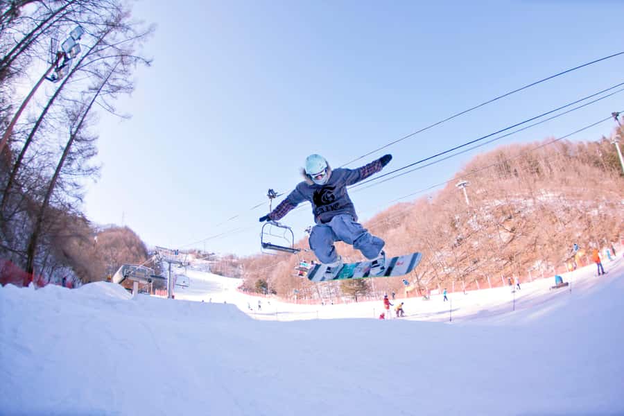 Seoul: Elysian Ski Resort One Day Tour - Who Should Book This Elysian Tour?