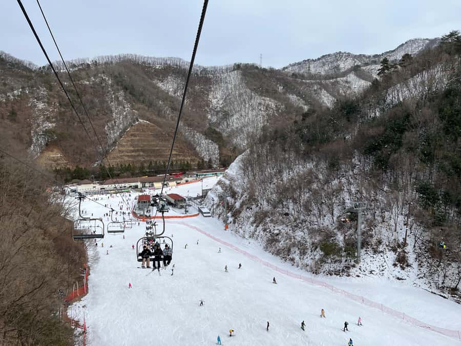 Seoul: Elysian Ski Resort One Day Tour - Six Hours at Elysian Gangchon
