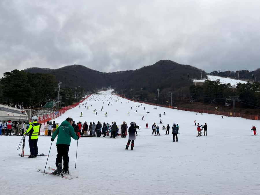 Seoul: Elysian Ski Resort One Day Tour - Choosing Between Free Time, Ski, and Ski+Lift