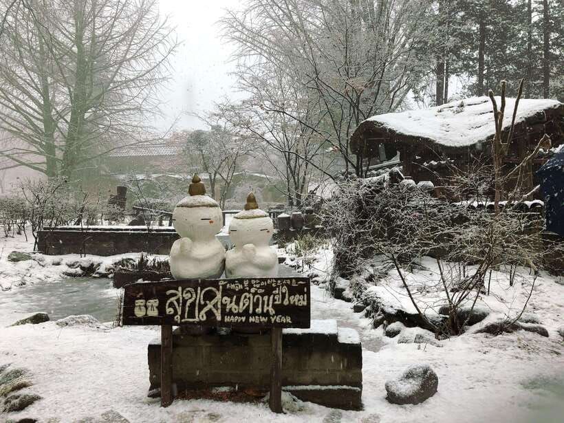 Seoul: Full-Day Winter Trip Ski Resort, Ice Valley, Namiseom - Three winter attractions in one long day