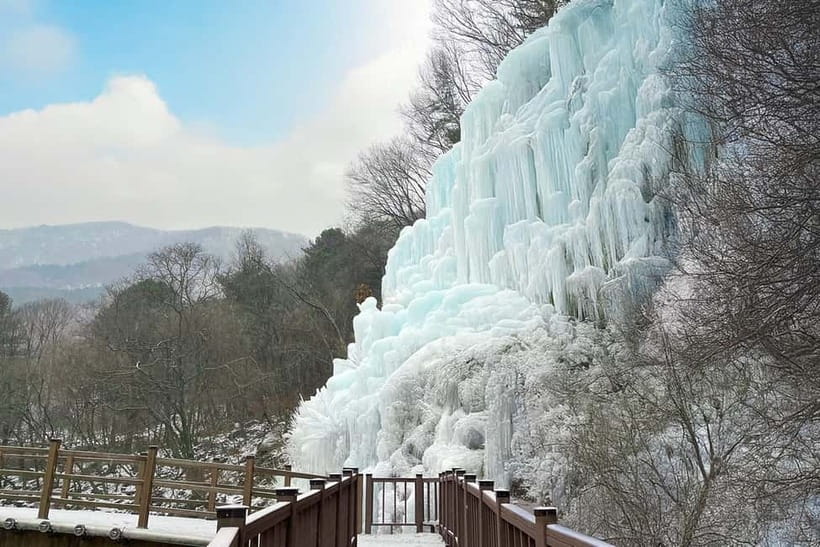 Seoul: Full-Day Winter Trip Ski Resort, Ice Valley, Namiseom - Nami Island brings a quieter afternoon