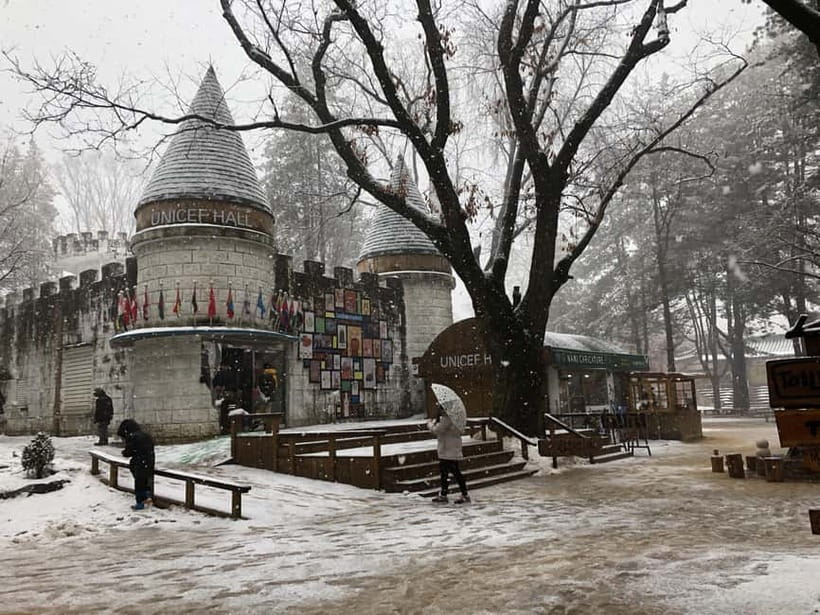 Seoul: Full-Day Winter Trip Ski Resort, Ice Valley, Namiseom - Transport, timing, and the real cost of the day