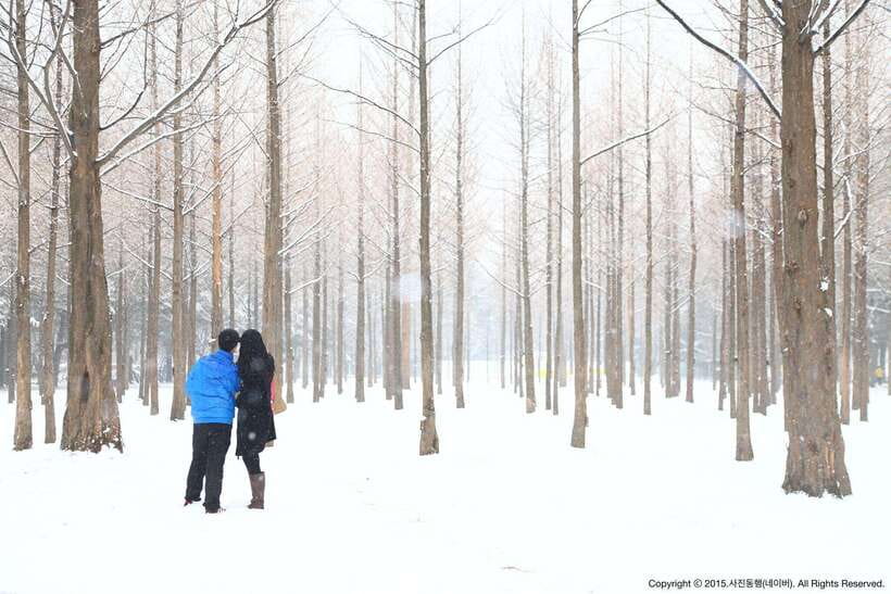Seoul: Full-Day Winter Trip Ski Resort, Ice Valley, Namiseom - Who will enjoy this day most?
