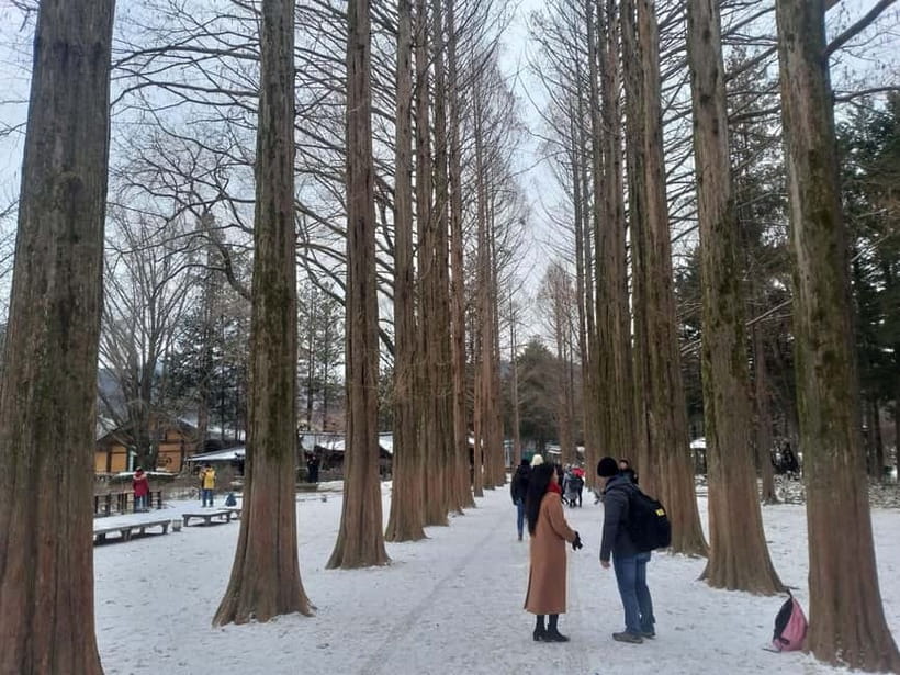 Seoul: Full-Day Winter Trip Ski Resort, Ice Valley, Namiseom - FAQ