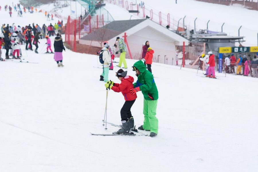 Seoul: Jisan Forest Winter Ski Day Tour with Basic Lesson - What the one-hour beginner lesson covers