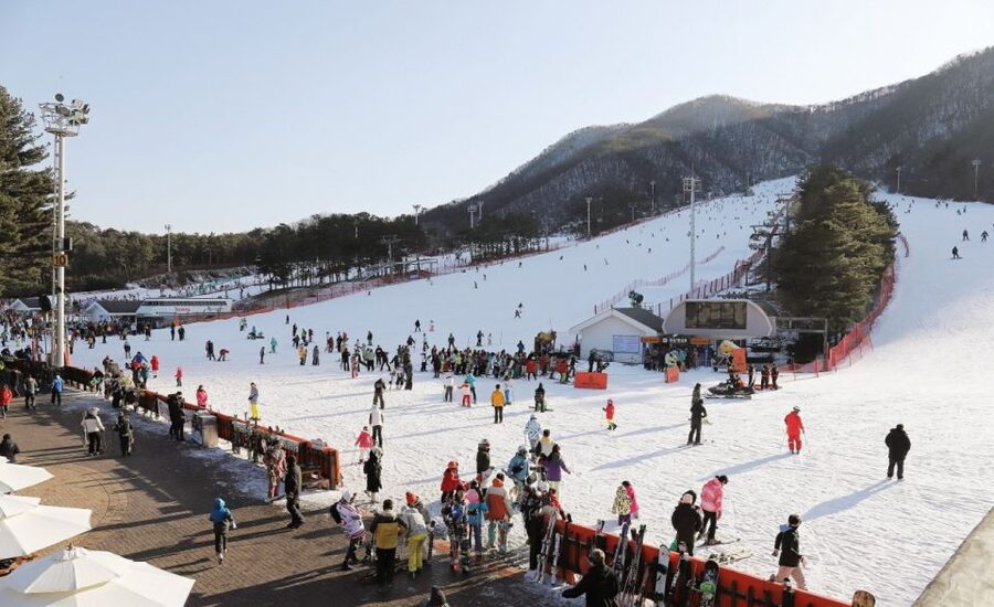 Seoul: Jisan Forest Winter Ski Day Tour with Basic Lesson - Families, friends, and mixed abilities