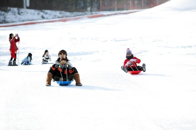Seoul Ski Tour at Jisan Forest Resort - What Jisan Forest offers beginners