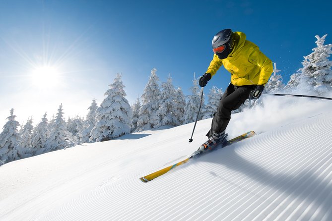 Seoul Ski Tour at Jisan Forest Resort - Lift tickets and the real cost of the day