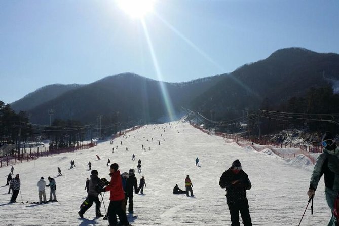 Seoul Ski Tour at Jisan Forest Resort - The limits for non-skiers