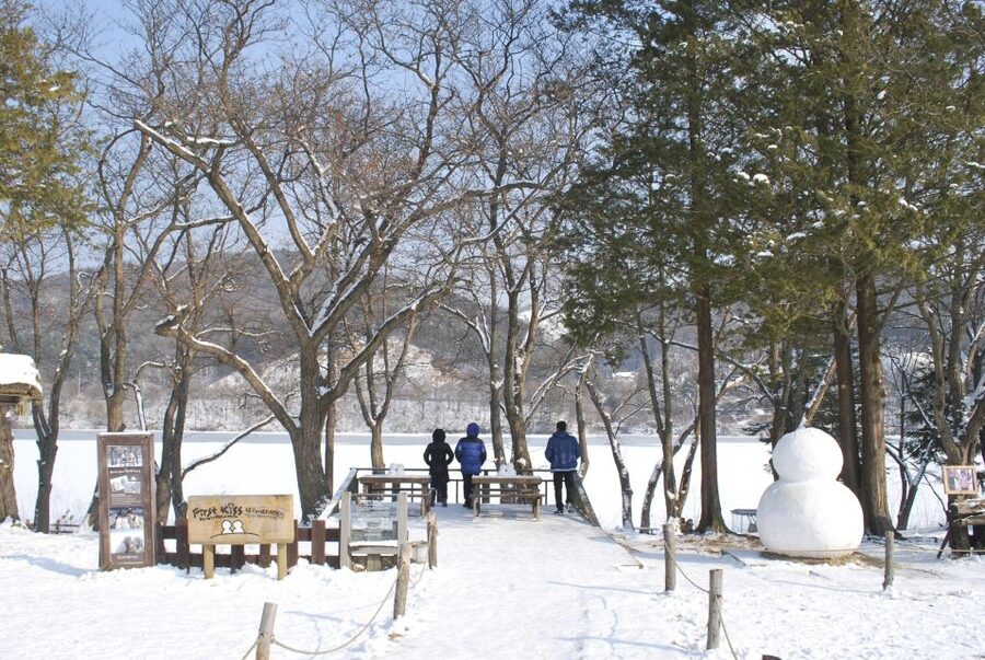Seoul: Vivaldi Park Winter Ski with Nami Island Day Tour - Key points to know before you book