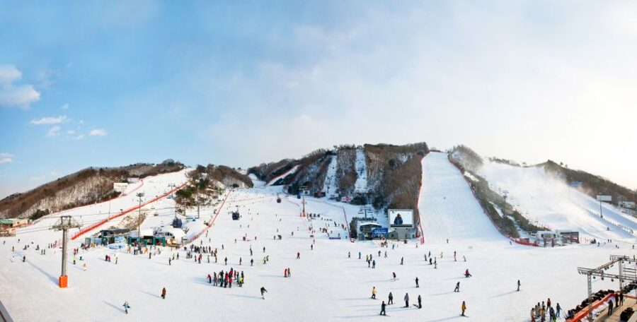 Seoul: Vivaldi Park Winter Ski with Nami Island Day Tour - Is this Vivaldi Park and Nami Island tour worth booking?