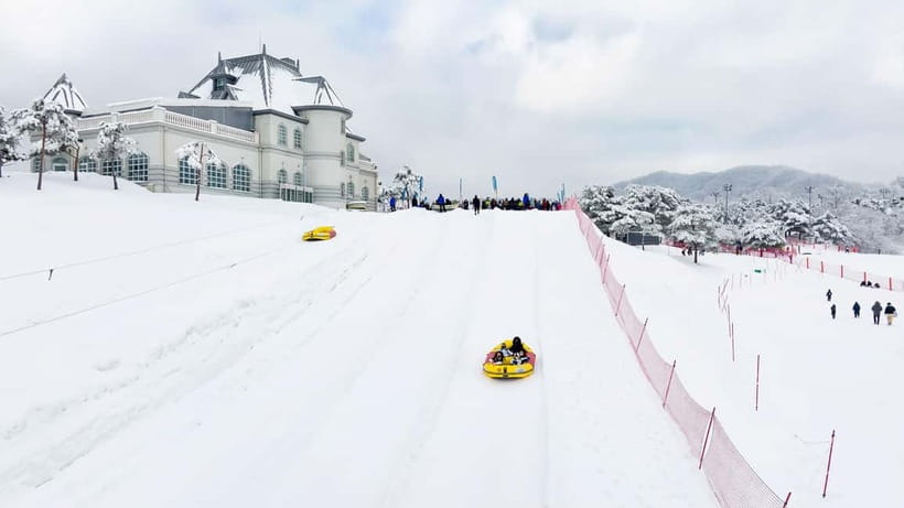 Seoul: Vivaldi Park Winter Ski with Nami Island Day Tour - Four ways to spend your time at Vivaldi Park