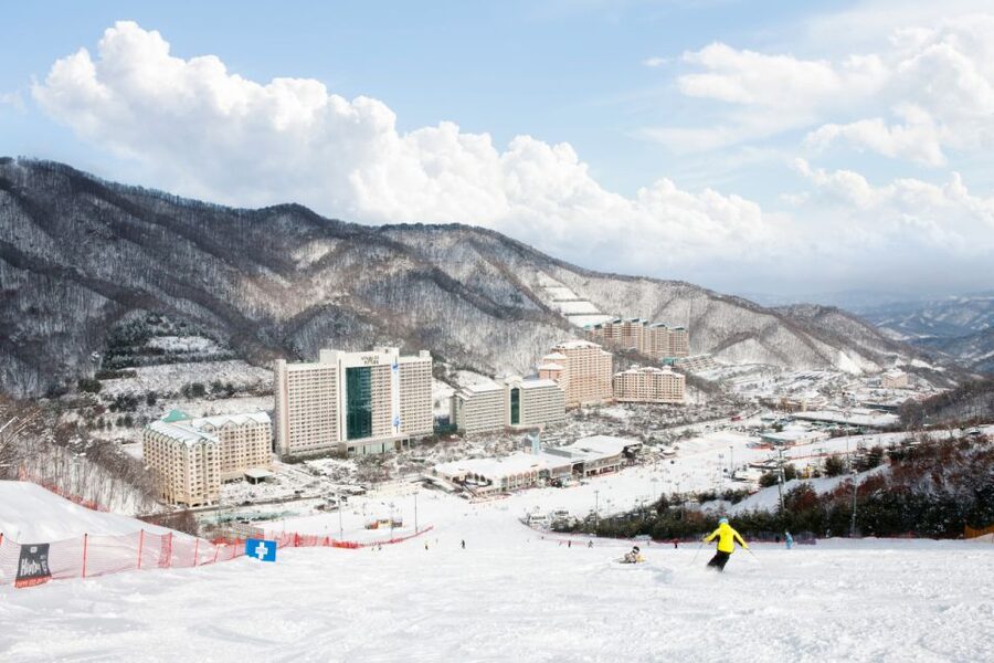 Seoul: Vivaldi Park Winter Ski with Nami Island Day Tour - Practical booking advice