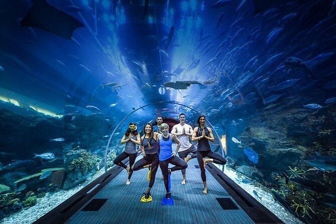 Ski Dubai Tickets with options - Two Dubai attractions with very different rhythms