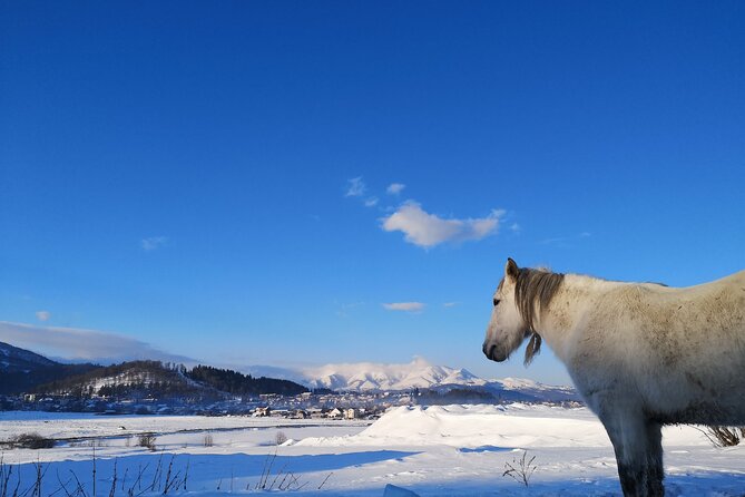 Ski & Snow Tour to Bakuriani from Kutaisi with Borjomi Stop - The gondola ride to 2,700 meters