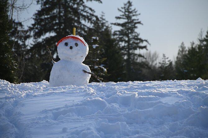Ski & Snow Tour to Bakuriani from Kutaisi with Borjomi Stop - Who will enjoy this day most?