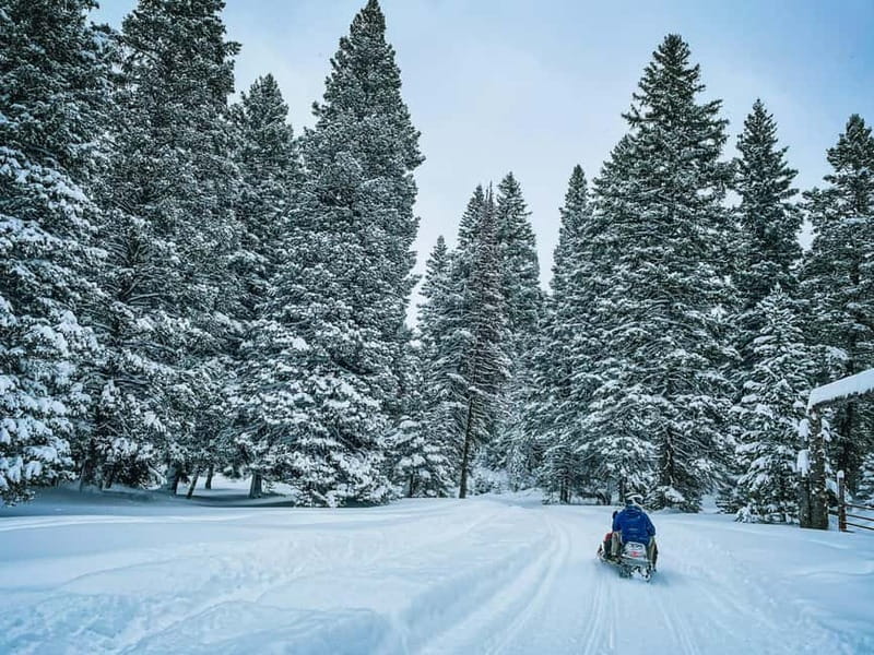 Ski & Snow Tour to Bakuriani from Kutaisi with Borjomi Stop - Booking details worth knowing
