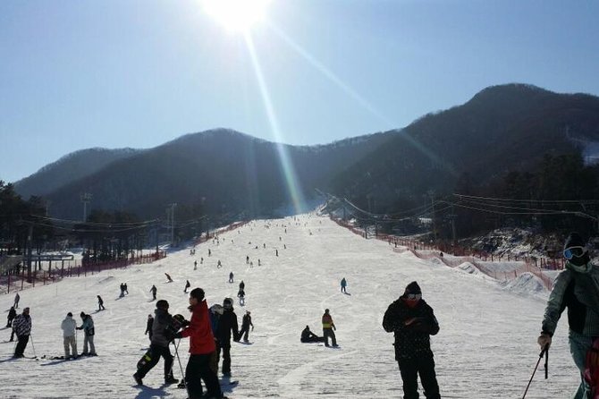Ski Tour to Jisan Ski Resort from Seoul - Why This Is an Easy Snow Day from Seoul