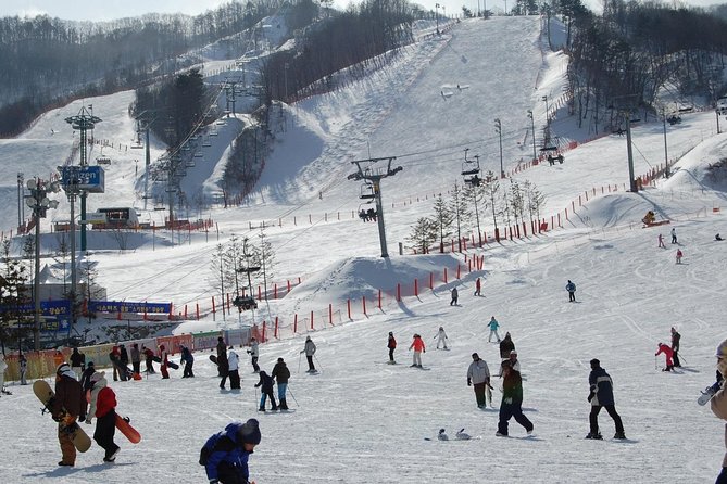 Ski Tour to Jisan Ski Resort from Seoul - Lunch at the Resort Is Flexible but Not Included