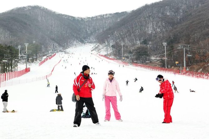 Ski Tour to Jisan Ski Resort from Seoul - Choosing Between Jisan and Yangji Pine Resort