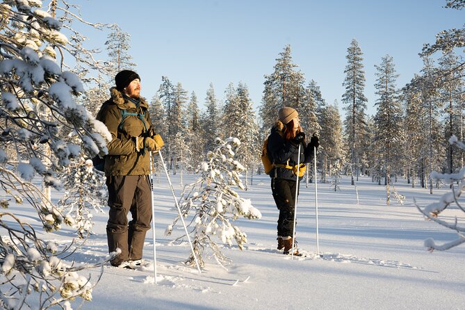 Ski Trek to the Wilderness - Extra Small group - Leaving Rovaniemi for the forest