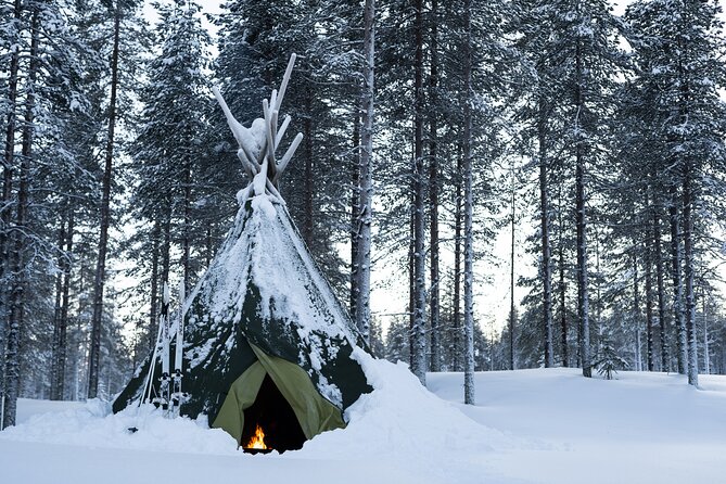 Ski Trek to the Wilderness - Extra Small group - Skiing through forests, frozen lakes, and swamps