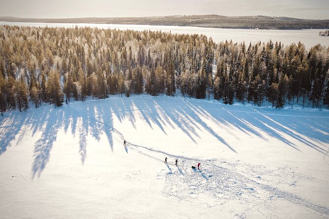 Ski Trekking Safari in Lapland - How much value do you get for $131.32?