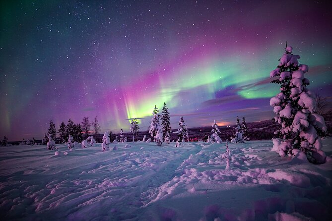 Ski Trekking under the Northern Lights - At a glance