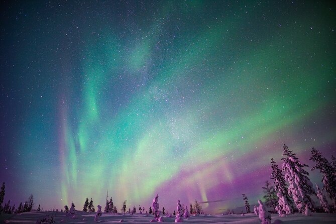 Ski Trekking under the Northern Lights - Learning to ski before the aurora search