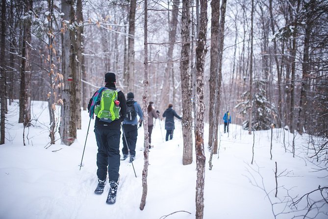 Skiing (Hok Ski) Excursion in Jacques-Cartier National Park - Key points to know before booking