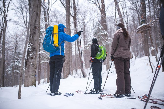 Skiing (Hok Ski) Excursion in Jacques-Cartier National Park - Fitting the gear and learning the basics