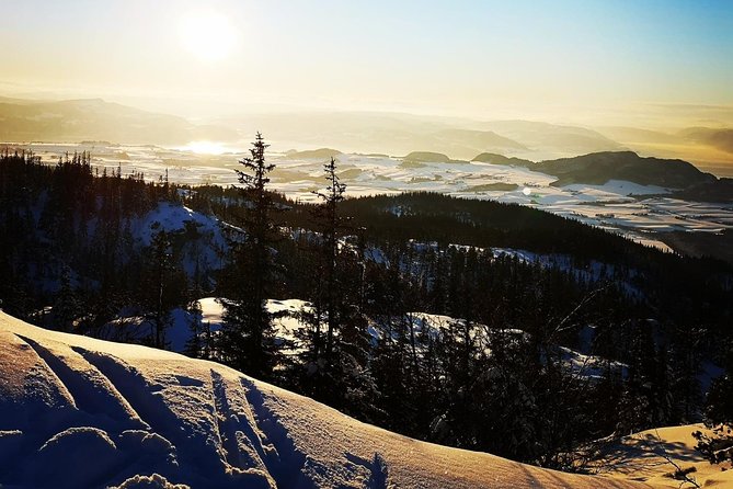 Skiing in winter wonderland - Leaving Trondheim for the snowy forest