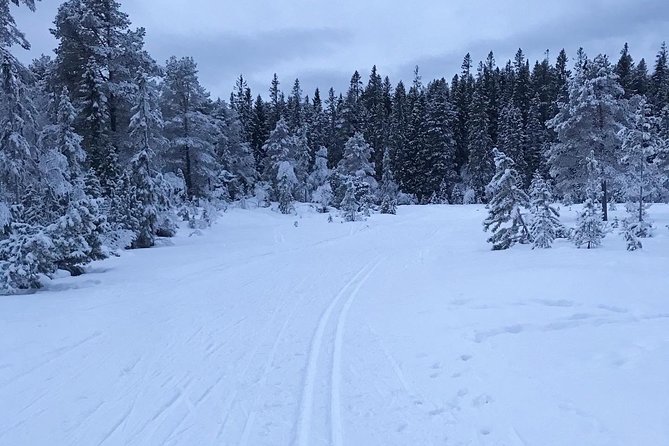 Skiing in winter wonderland - What the $232.82 price really covers
