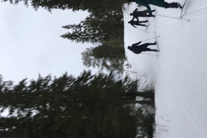 Skiing in winter wonderland - Who should book this winter outing