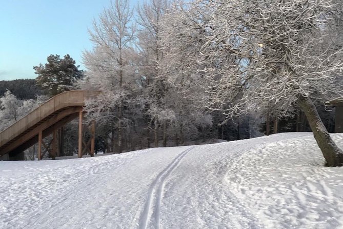 Skiing in winter wonderland - Booking, timing, and cancellation