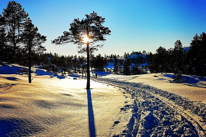 Skiing in winter wonderland - Getting comfortable on cross-country skis