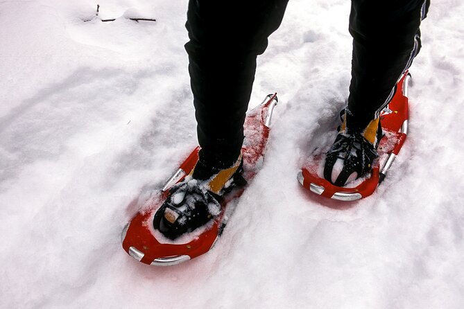 Snowshoe OR Cross Country Ski Tours in Glacier National Park - Who will enjoy this tour most?