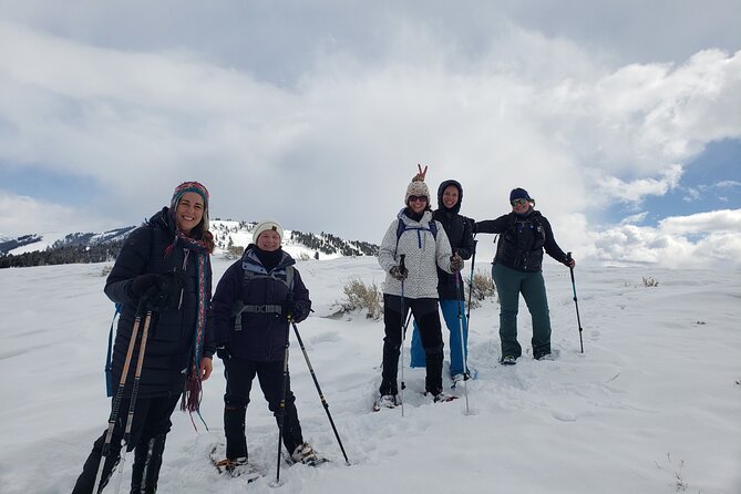 Snowshoe or XC Ski in North Yellowstone (Half Day) - Starting in Gardiner between 9 and 11 a.m.