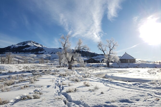 Snowshoe or XC Ski in North Yellowstone (Half Day) - How your route may change during the day