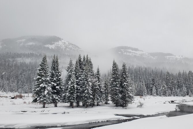 Snowshoe or XC Ski in North Yellowstone (Half Day) - A private pace with real instruction