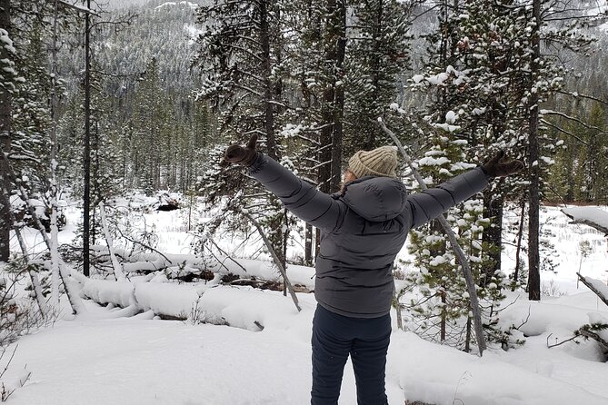 Snowshoe or XC Ski in North Yellowstone (Half Day) - Snacks, hot drinks, and the five-hour schedule