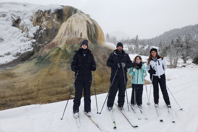 Snowshoe or XC Ski in North Yellowstone (Half Day) - Choosing between snowshoes and cross-country skis