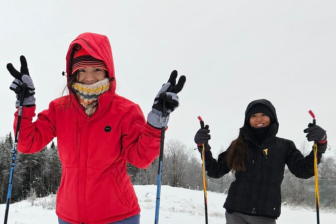 Traditional Sight-Skiing Experience in Kemi - From a local track to the frozen Baltic Sea