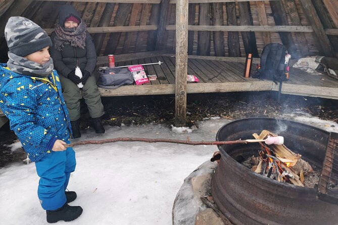 Traditional Sight-Skiing Experience in Kemi - The views, weather, and physical effort