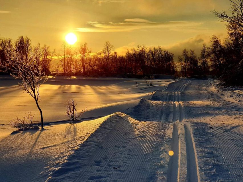 Tromsø: Cross Country Guided Skiing Course - The equipment and clothing you need