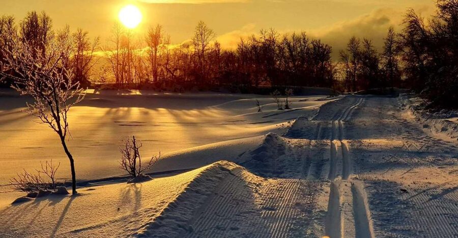 Tromsø: Cross Country Guided Skiing Course - A course for beginners, families, and solo participants
