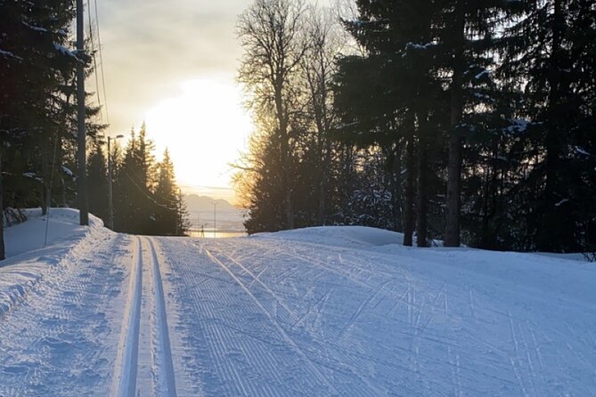 Tromsø Cross-Country Ski Adventure - Key things to know before booking