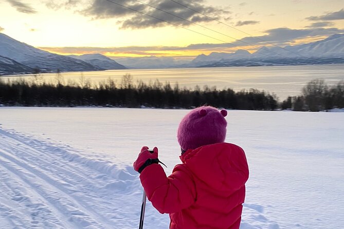 Tromsø Cross-Country Ski Adventure - Skiing through forest and mountain views